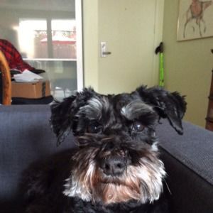 Meet your Posher, Melissa